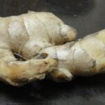 ginger root